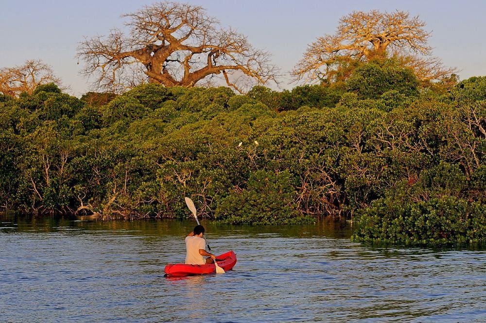 Kinasi Lodge Utende Dış mekan fotoğraf