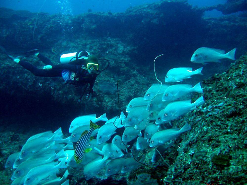 Kinasi Lodge Utende Dış mekan fotoğraf